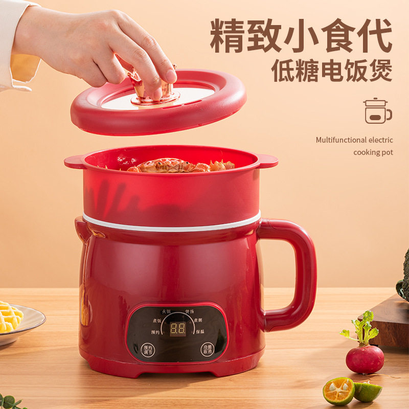 小功率电饭煲多功能电煮