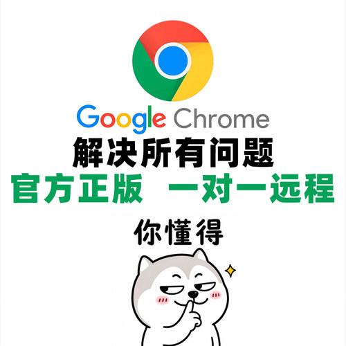 Google谷歌浏览器离线安装包Chrome 官方正版功能完整满足需求