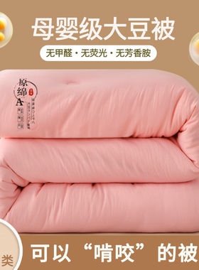 A类原棉冬被棉被夏凉被母婴纤维被子加厚保暖冬季学生宿舍春秋被