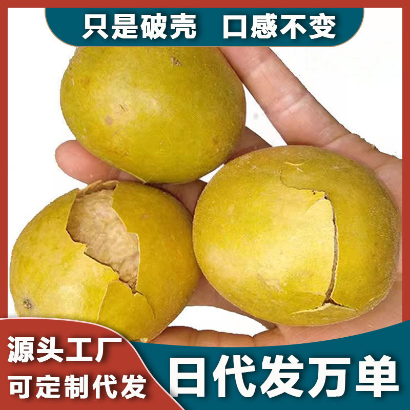 【】破壳黄金果干果独立包装桂林散装脱水罗汉果胖大海草本原料