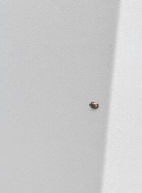 SIEMENS 西门子门禁控制器，VeriNET E2全新带