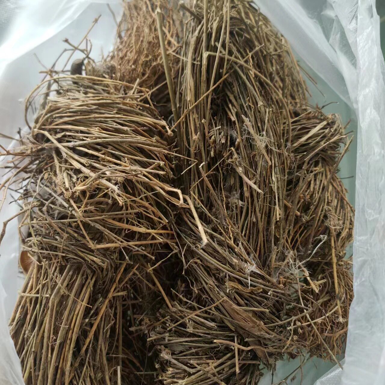 寮刁竹 全草 辽刁竹 中草 徐长卿 逍遥竹 遥竹逍 1000g克