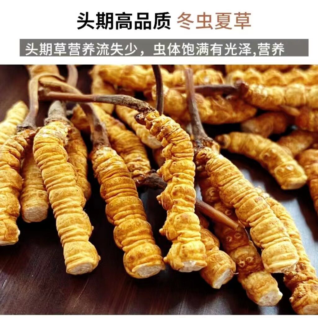 冬虫夏草断草纯肉体零售各种规格那曲正品虫草草本大断草自用