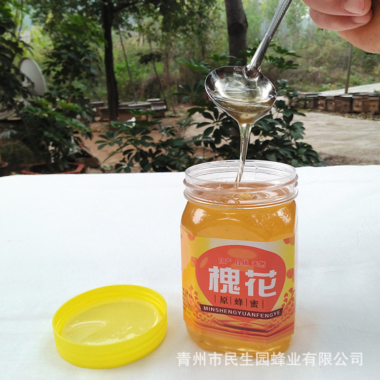 原蜂蜜 农家土特产槐花蜂蜜瓶装500g 可自产自销