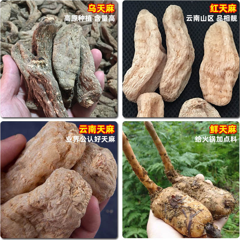 无熏硫天麻云南昭通产地天麻乌天麻丽江红天麻黑天麻天麻粉超细