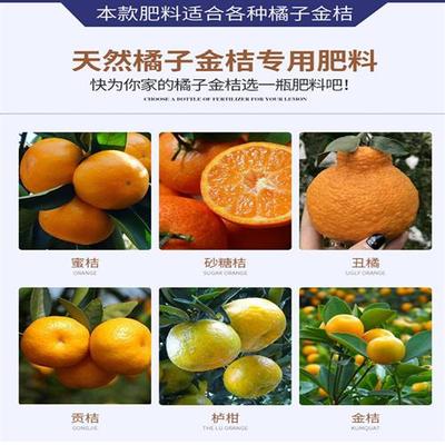 金桔树肥料金桔专用肥桔子树柑桔肥料营养液橘子树复合肥盆栽金柑