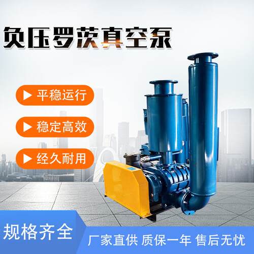 负压罗茨真空泵负压系统带智联真空泵工业抽真空机低