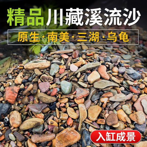 原生缸鱼缸造景底砂溪流石装饰