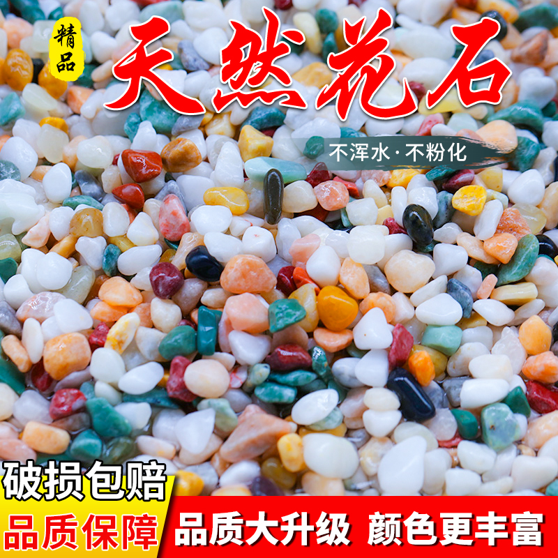 天然雨花石七彩石鱼缸盆栽造景