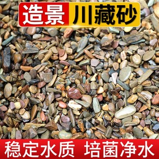 鱼缸造景底砂溪流石天然原生鹅卵石专用水族箱水草缸装饰溪流沙