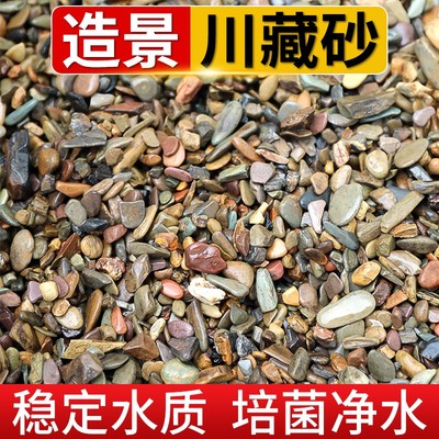 鱼缸底砂溪流石天然原生鹅卵石造景专用水族箱水草缸装饰溪流沙