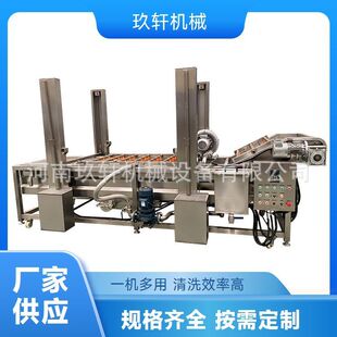 大白菜韭菜山野菜高压喷淋洗菜机 厂家定制苹果西红柿气泡清洗机