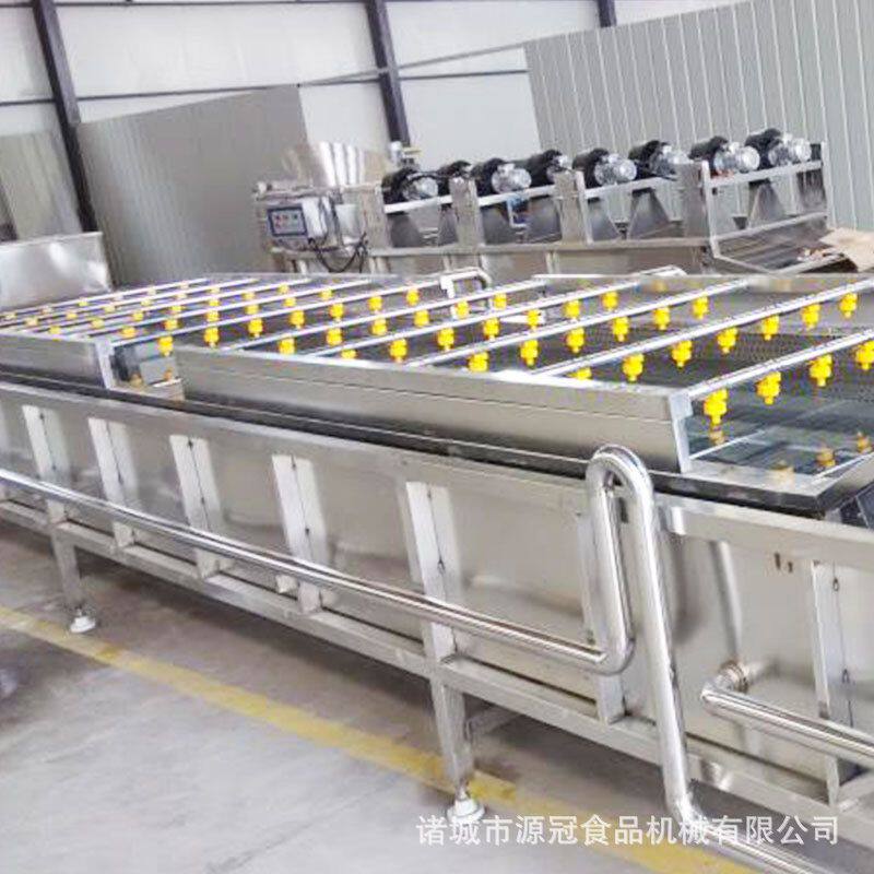 果蔬清洗线 不锈钢材质 块状果品蔬菜清洗机 预制菜加工设备 源冠