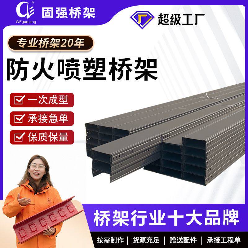 防火喷塑桥架槽式梯式托盘式阻燃喷塑电缆钢制镀锌光伏桥架