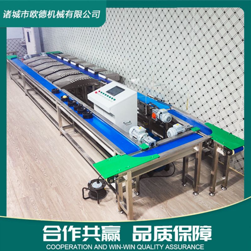 欧德连续称重水果分选机 水果西瓜无损精准分级机 水蜜桃菠萝等级