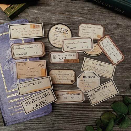TimHoltz风 复古植物标本标签贴纸 手帐TN装饰素材 junk journal
