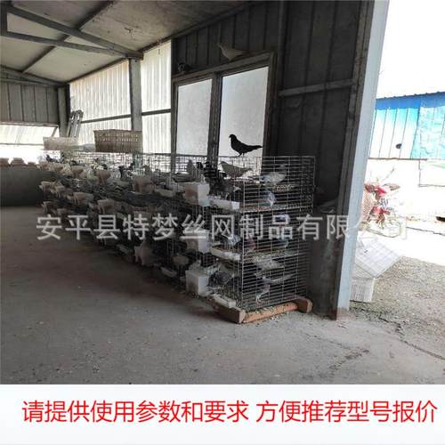 工厂广式鸽笼 热镀锌广式鸽笼 鸽子笼12位 鸽笼大型养殖 加粗