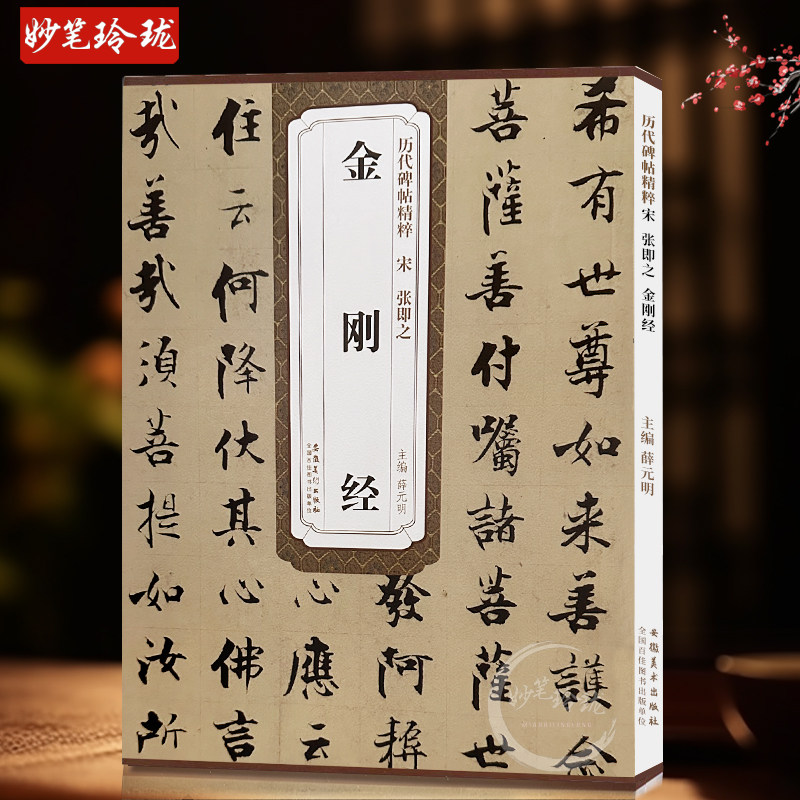 现货速发 宋张即之金刚jing历代碑帖精粹薛元明主编简体旁注书楷书毛笔书法字帖技法解析