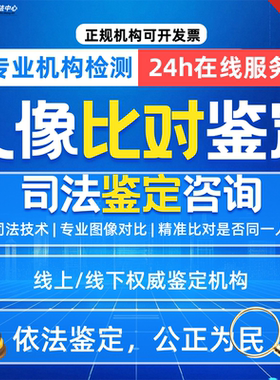 人脸比对/人像比对/人像鉴定人脸鉴定/鉴定咨询意见审查（诉讼前