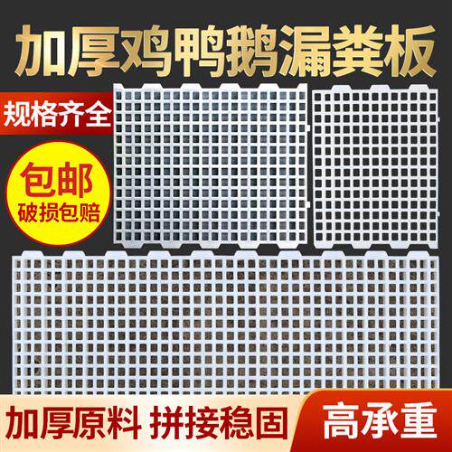 鸡用漏粪板鸡鸭鹅鸽子家禽塑料网格漏屎养鸡场鸡舍脚垫接粪隔粪板