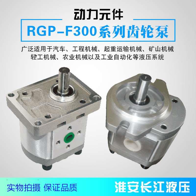 RGP-F300系列齿轮泵液压齿轮油泵厂家直发现货液压油泵长江液