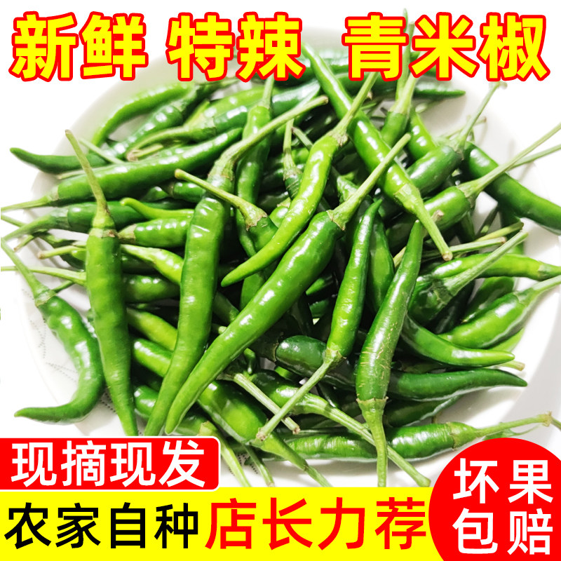 青米椒新鲜小米椒青小辣椒剁椒特辣指天椒现摘小尖椒朝天椒非线椒