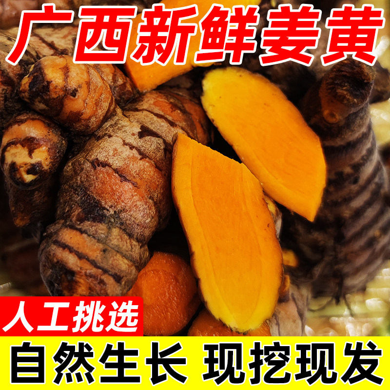 广西新鲜姜黄食用月子姜小黄姜染色姜咖喱饭原料产后调节可做姜种