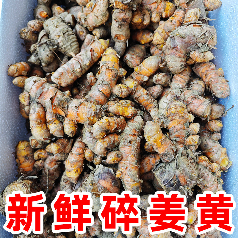 新鲜碎姜黄广西姜黄新鲜月子姜食品染色姜药姜咖喱冬阴功汤料黄姜