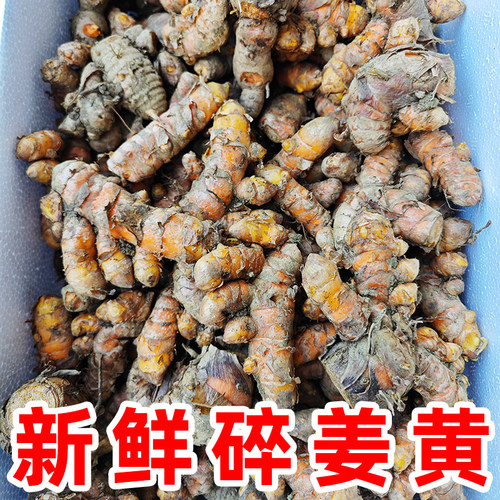 新鲜碎姜黄广西姜黄新鲜月子姜食品染色姜药姜咖喱冬阴功汤料黄姜