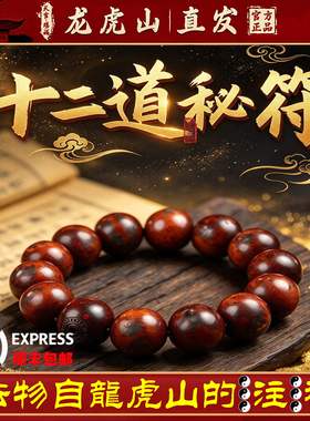 龙虎山天师府十二道秘符手串念珠雷击木桃木枣木十字天经道家饰品