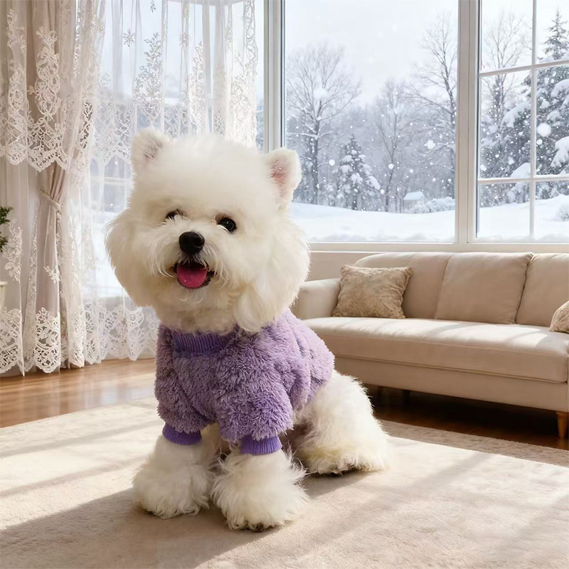 宠物衣服新款爱心绒衣多巴胺穿搭狗狗绒衣套头博美泰迪法斗狗衣服