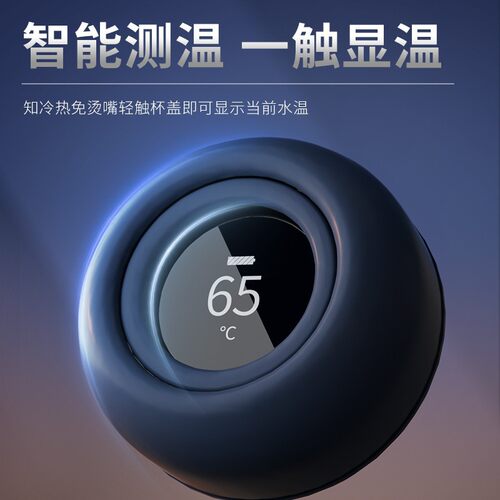 BNRU陶瓷智能显温商务保温杯办公室茶水分离泡茶车载茶杯水杯