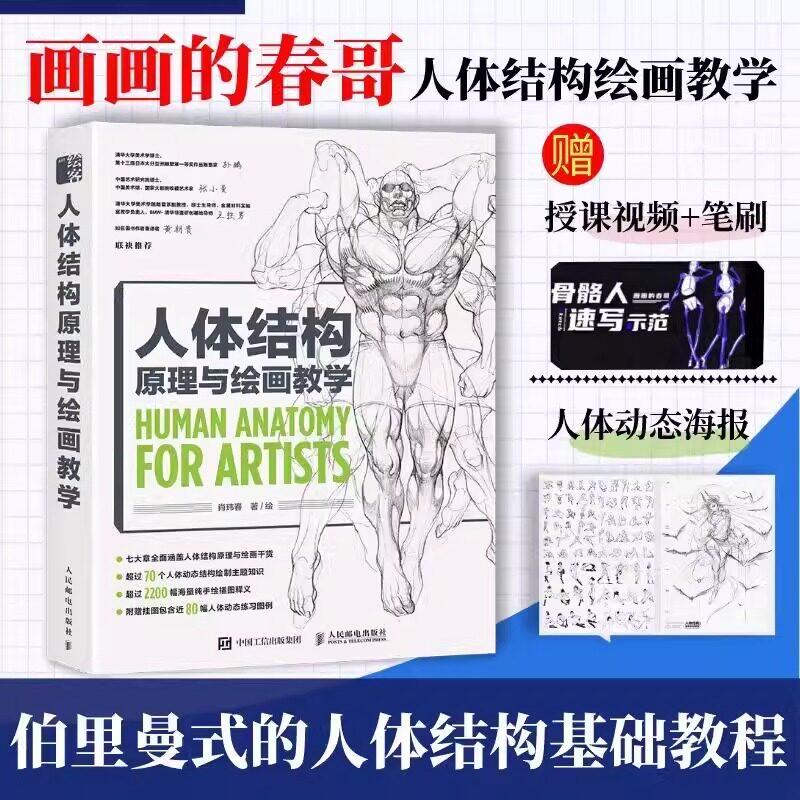 人体结构原理与绘画教学 肖玮春 站酷 画画的春哥 插画人物结构造型绘画零基础入门自学教材临摹艺术设计教程书籍和绘画教学图片