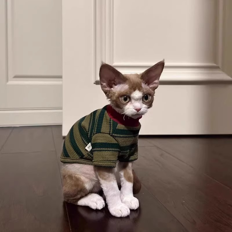 猫咪衣服条纹背心防掉毛春夏小猫2025新款德文比熊小型犬宠物用品