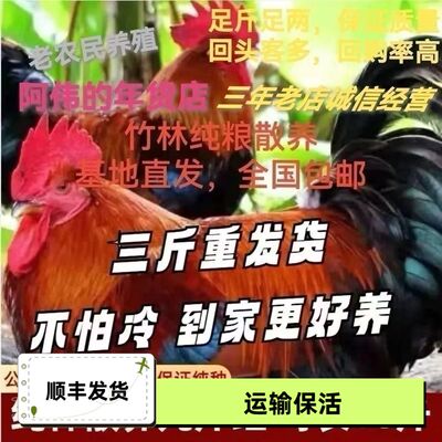 好养正宗散养3斤九斤红活