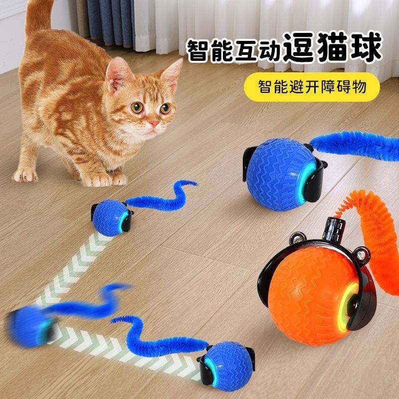 新款宠物逗猫球玩具猫猫滚滚球宠物猫自嗨专用用品玩具,宠物/宠物食品及用品,宠物智能玩具,淘宝优惠券,粉丝福利购,淘宝优惠卷