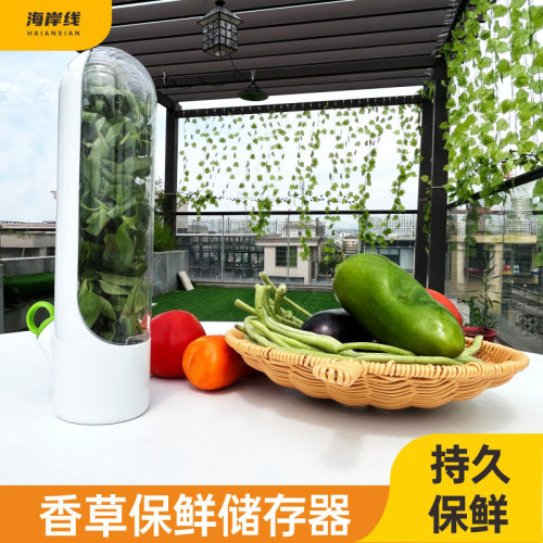 Temu Shein Amazon Vanilla Preservation Box Vegetable Preserver Cilantro Herbal Cover