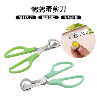 Stainless steel quail egg scissors, bird egg scissors, bird egg clipper, egg cracking tool, kitchen artifact, portable