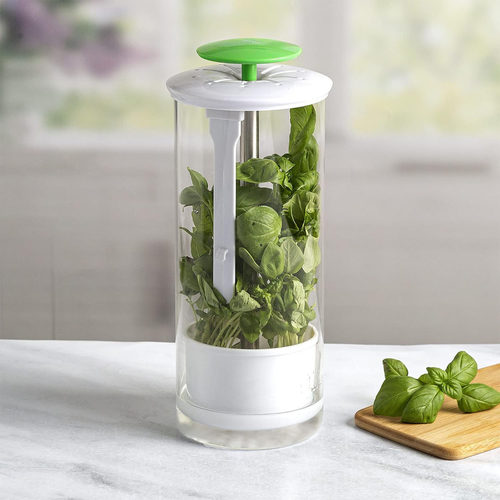 TK Amazon Vanilla Preservation Box Vegetable Herbal Preserver Vanilla Cilantro Preservation Box