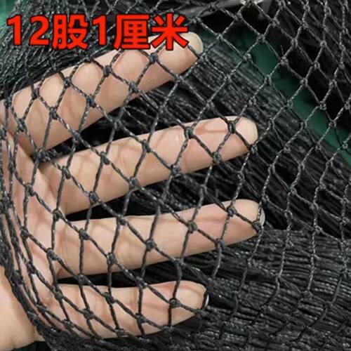 渔网聚乙烯杨子料黑色有结网拉网擡箱网隔断网养殖网防鸟养鸡鸭网