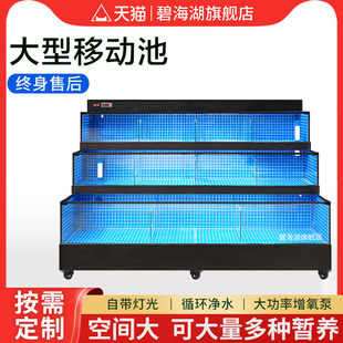 海鲜池商用移动海鲜鱼缸饭店专用制冷一体机超市水产海鲜缸贝类池