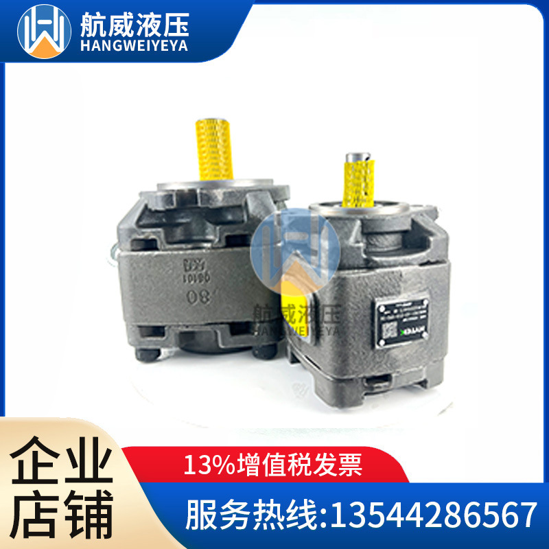 HG2-100-01R-VPC美国桑尼阳光SUNNY/海特克HYTEK内啮合齿轮泵