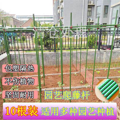 庭院阳台包塑铁管葡萄番茄丝瓜黄瓜种菜架子爬藤架支架花架支伸缩