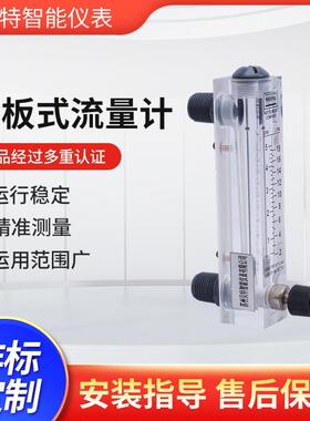 LZT系列面板流量计LZT-4T 空气标定 5L/min 带6mm快插