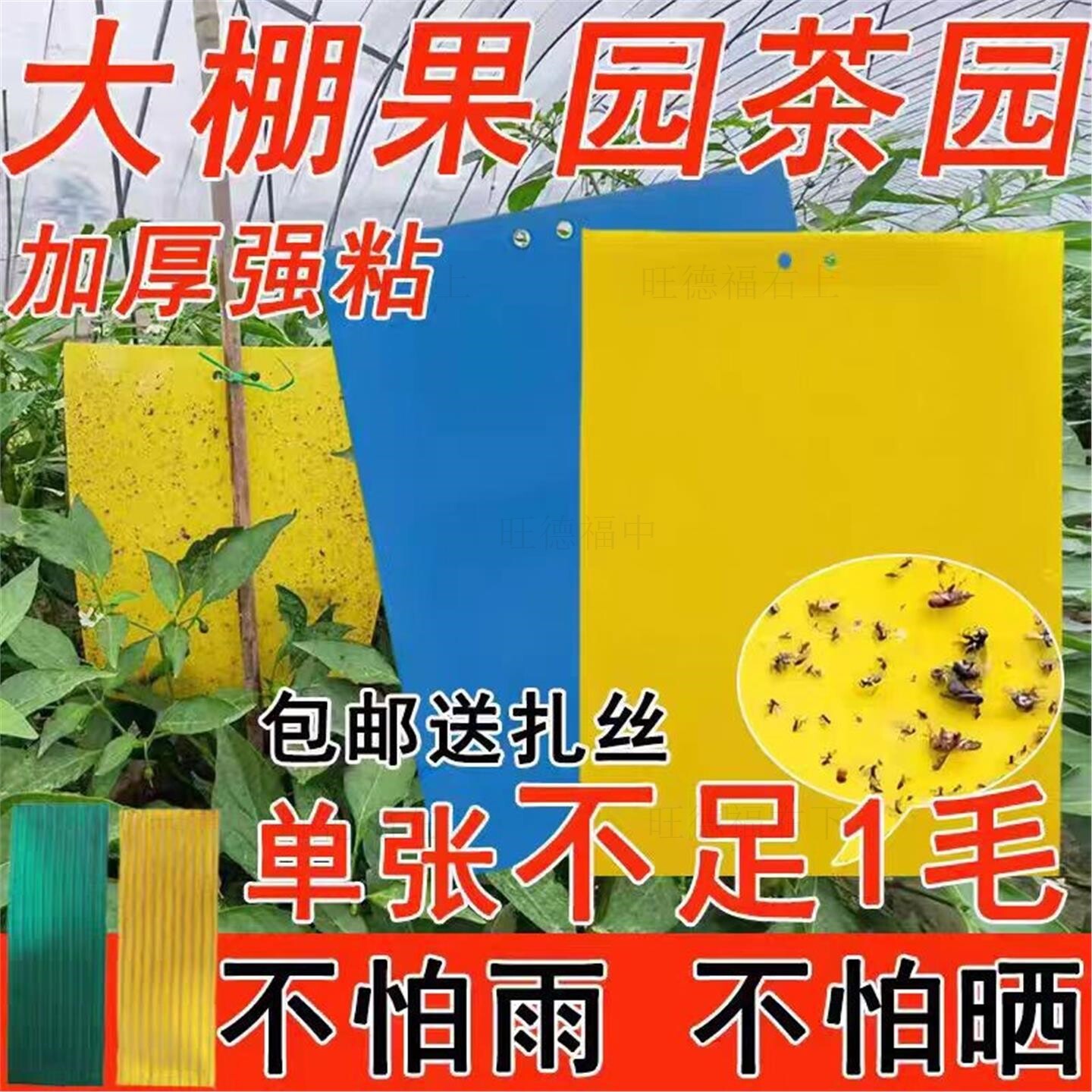 粘虫板黄蓝板双面诱虫板果园沾果蝇针蜂贴蓟马小黑飞大棚茶园花卉