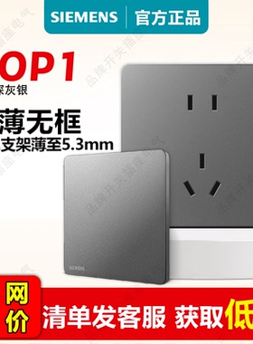 西门子开关插座睿宸深灰银86型一开双五孔多控USB16A空调官方空调