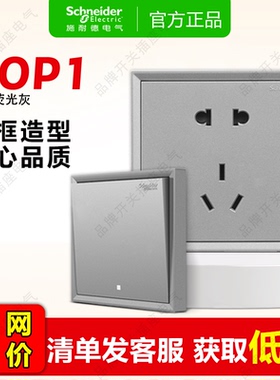 施耐德开关插座皓朗荧光灰色插座面板  多孔家用墙壁按钮 usb空调