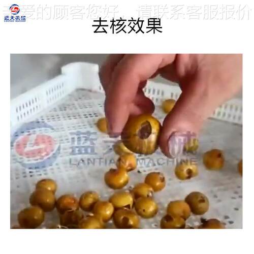 桂圆核机器 全自动龙眼去核 ENQ电动商机用荔枝去鲜核设备生去产