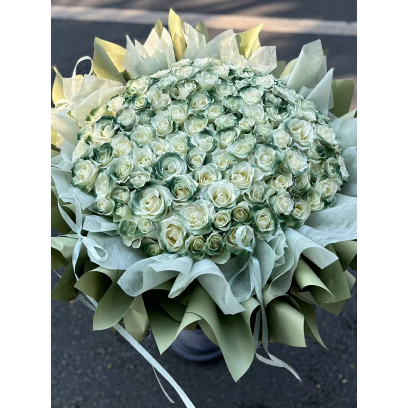 苏朵格束兰绿配瑰花人鲜递情花花77029节城速99女送玫友生同日国