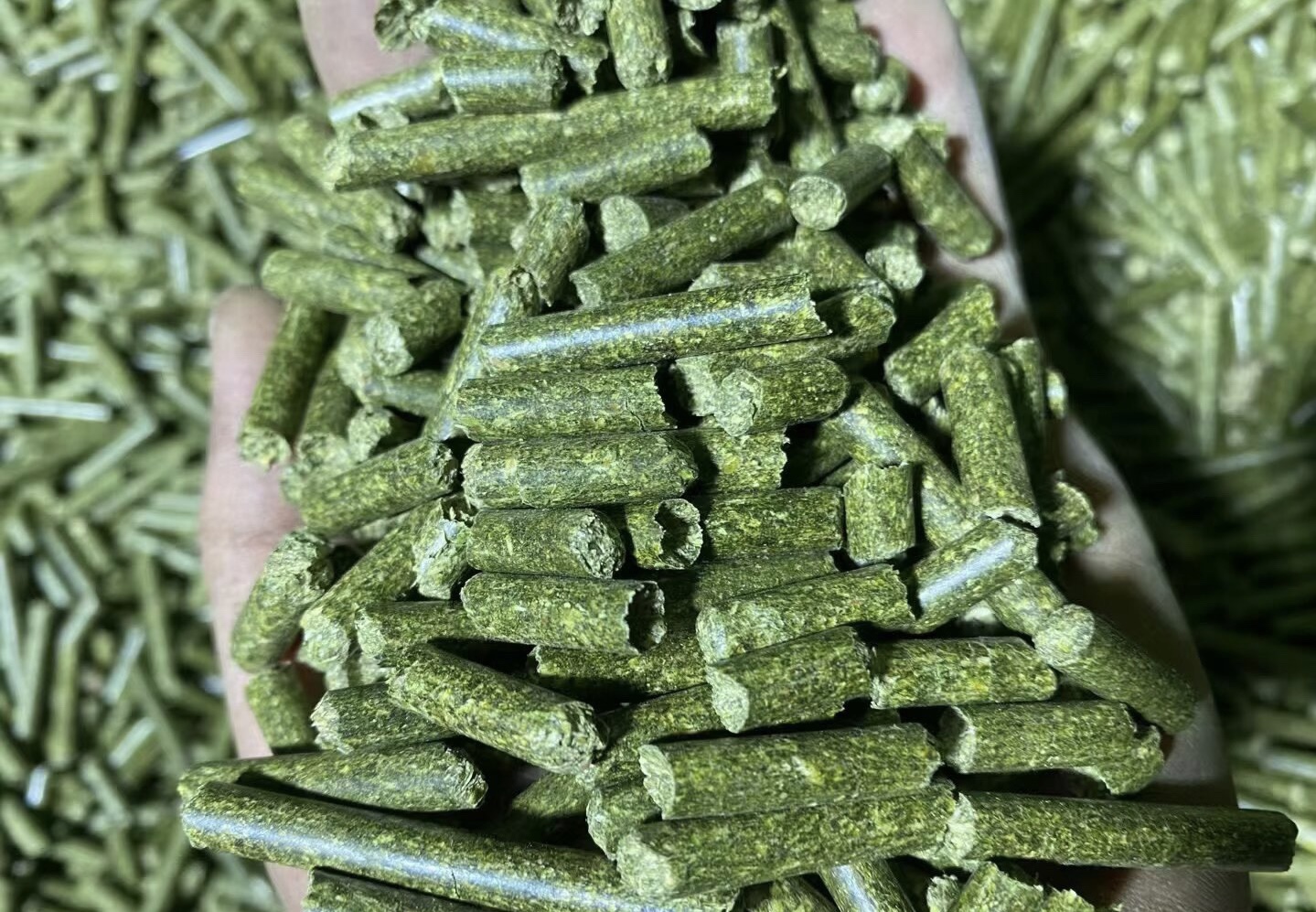 无注册商标苜蓿草颗粒宠物零食